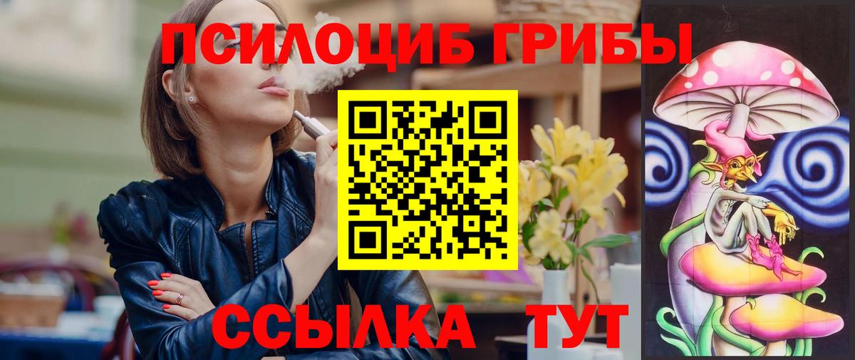 Псилоцибиновые грибы мицелий Новошахтинск